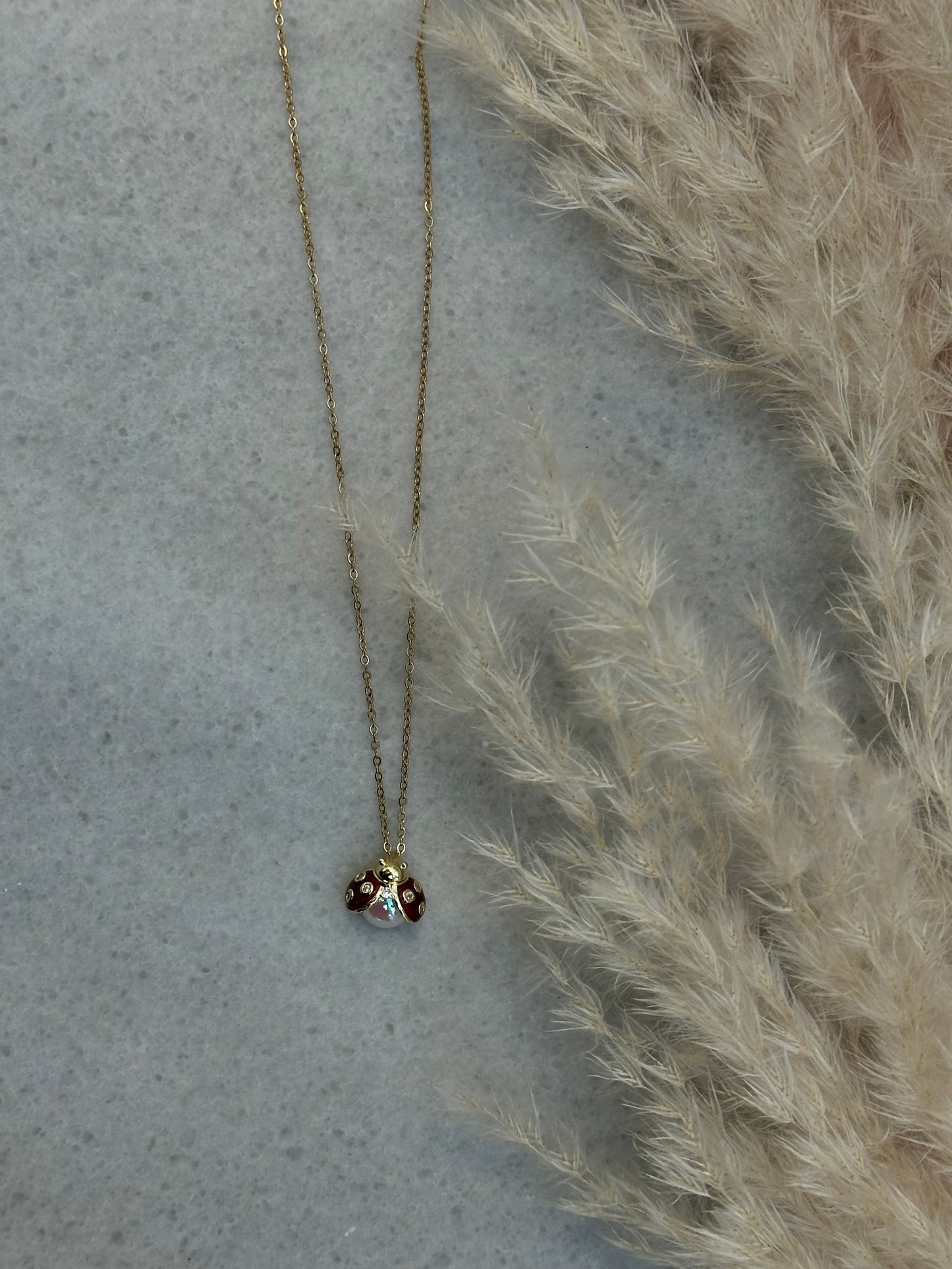 Ruby Ladybug - Uğur Böceği Charm Detaylı Kolye