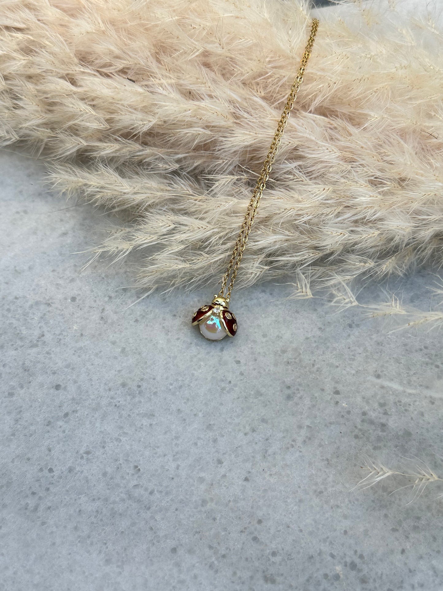 Ruby Ladybug - Uğur Böceği Charm Detaylı Kolye